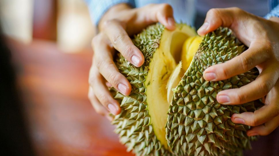 Asyik! Ada Wisata Petik Durian di Blitar yang Siap Menemani Masa Liburan